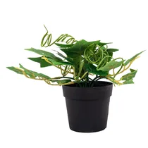  Planta Arti...