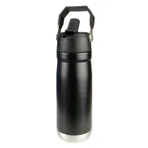 Garrafa Térmica Quencher FY650 - 650ML - com Bico e Canudo - Preto