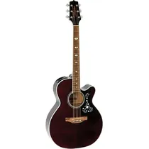  Takamine GN...