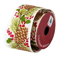  Fita Decora...