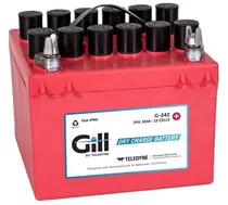 Gill Kit Battery+Acid G242 DRY 24V 10AH 3QT