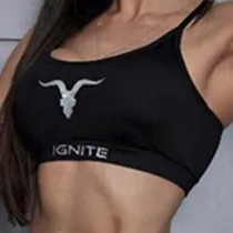 Top Ignite ...