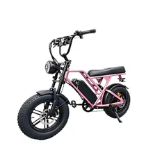 Bike Blulory...
