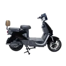 Moto Eletric...