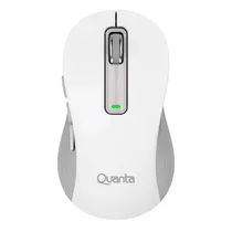  Mouse Quant...