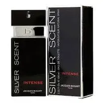 J. Bogart Silver Scent Intense 100 ML