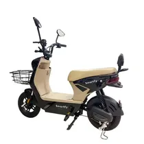 Moto Electri...