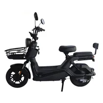 Moto Eletric...