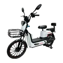 Moto Electri...