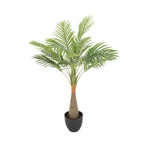  Palmera Art...
