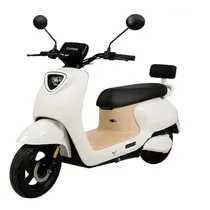 Moto Electri...