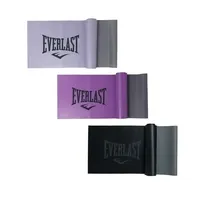  Everlast Ba...
