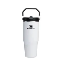  Stanley Mug...