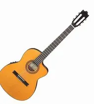  Ibanez Viol...
