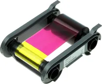  Ribbon Evol...