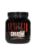  Animal Crea...