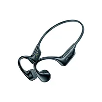  FTX Auricul...