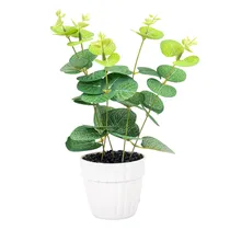  Planta Arti...