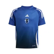  Remera Infa...