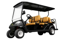 Carro Eléctr...