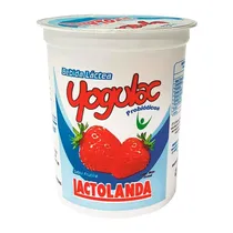 Iogurte Lact...