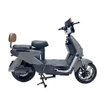 Moto Eletric...
