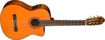  Washburn Vi...