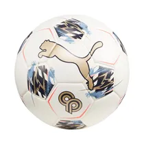  Pelota Puma...