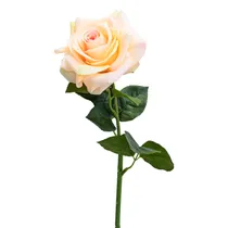  Rosa Artifi...