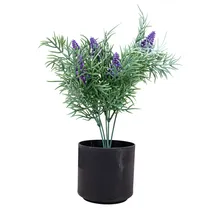  Planta Arti...