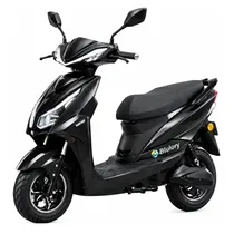 Moto Electri...