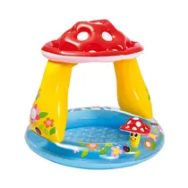  Piscina Int...