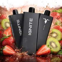 Ignite V55 S...