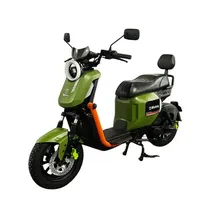 Moto Electri...
