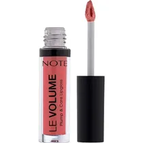  Note Labial...