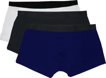  Boxer Curto...