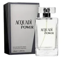 Perfume Acquadi Power Edt 100ML Masc