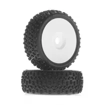  Roda Buggy ...