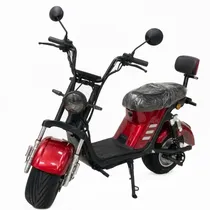 Moto Electri...