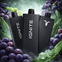 Ignite V55 Black Aloe Grape