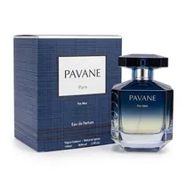 Perfume Masculino Elodie Roy Pavane Edp 100ML
