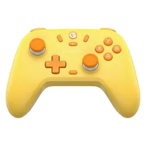  Controle Ga...