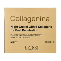  Collagenina...