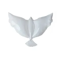  Balao para ...