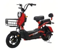  Moto Elétri...
