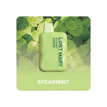 Lost Mary 5000 Spearmint