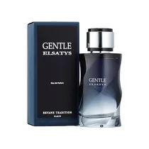 Perfume Reyane Gentle Elsatys Edp Masculino - 100ML