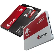 HD SSD 480GB Keepdata KDS480G-L21