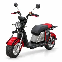 Moto Elétric...