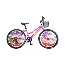  Bicicleta C...
